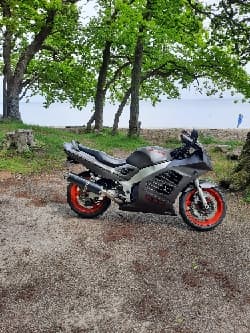 Suzuki RF 900 R