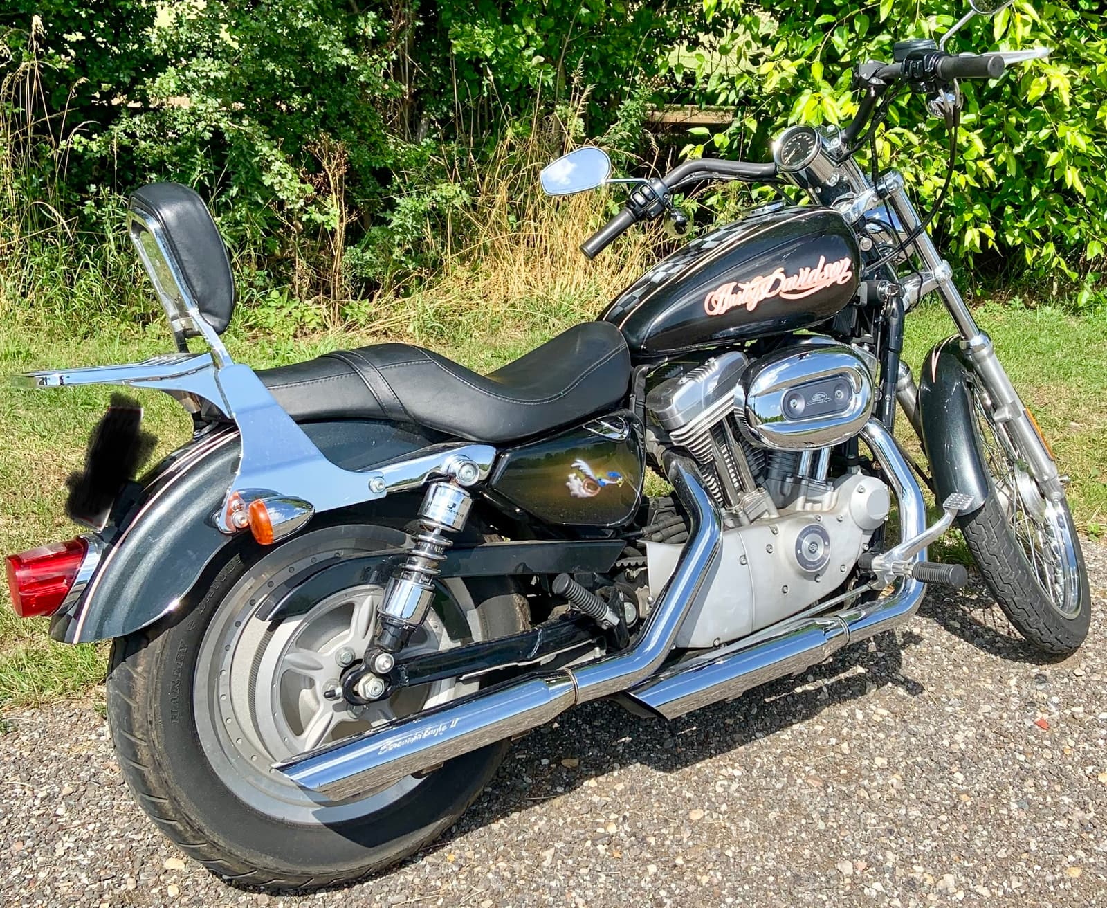 Harley-Davidson Custom Bike