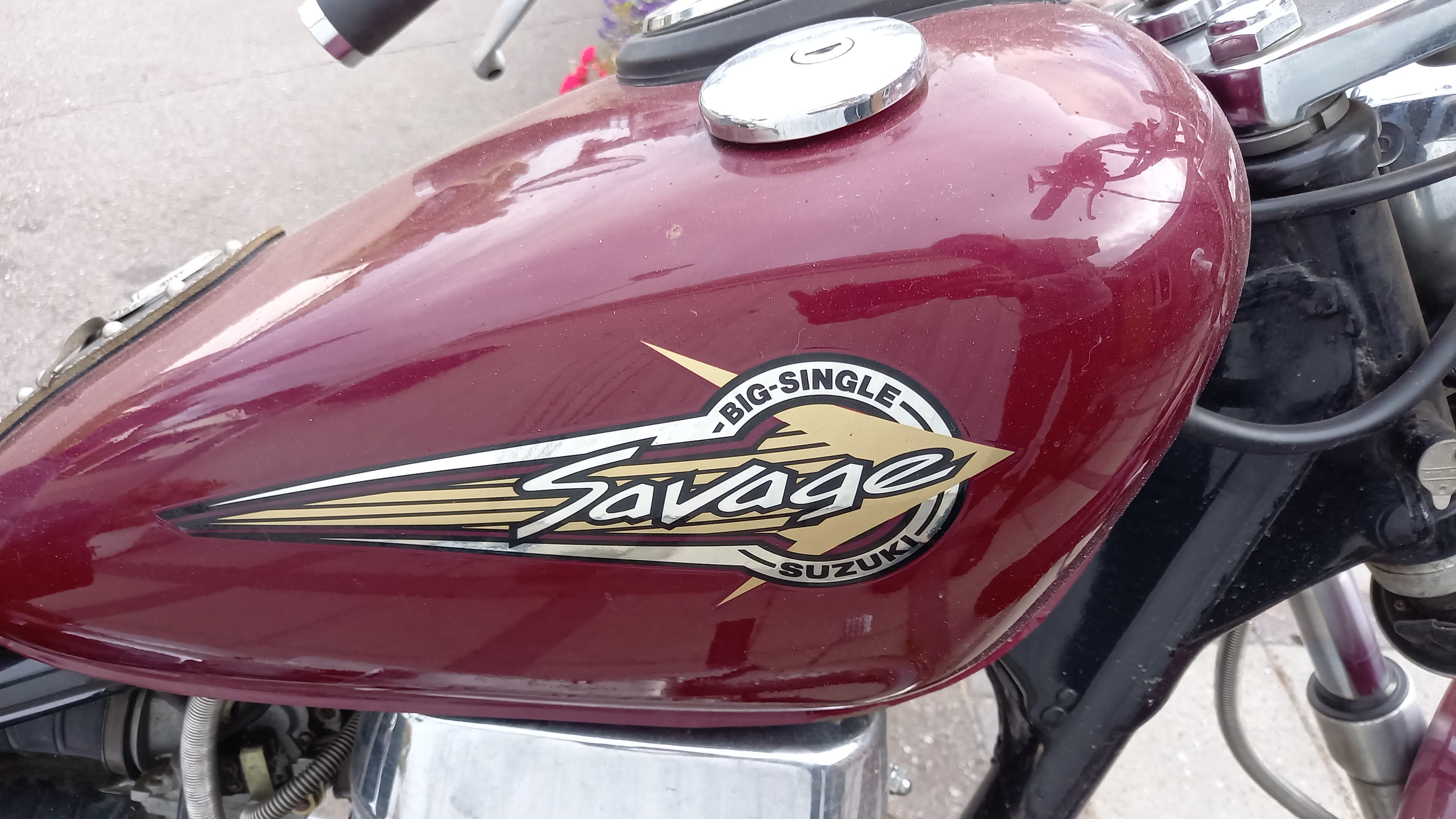 Suzuki LS 650