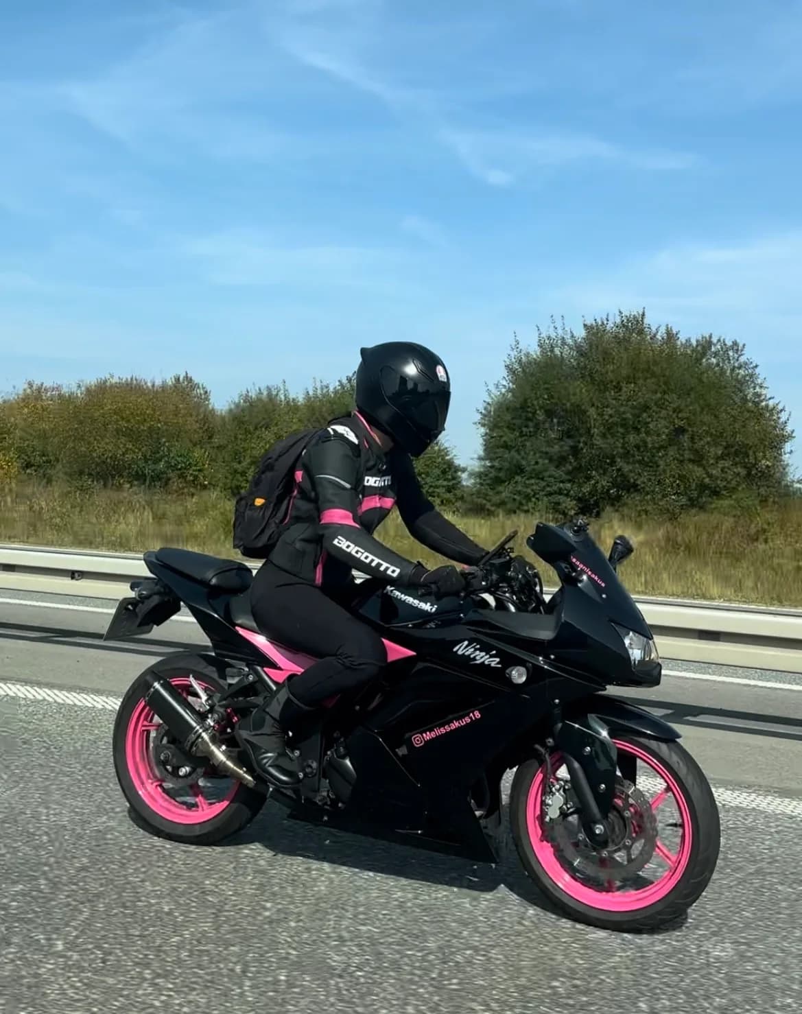 Kawasaki Ninja 250 R