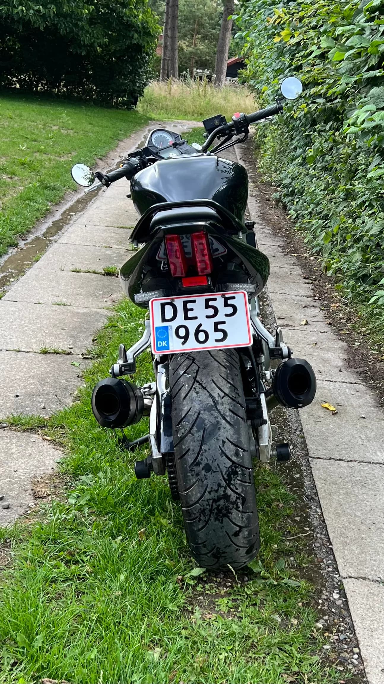 Suzuki SV 1000