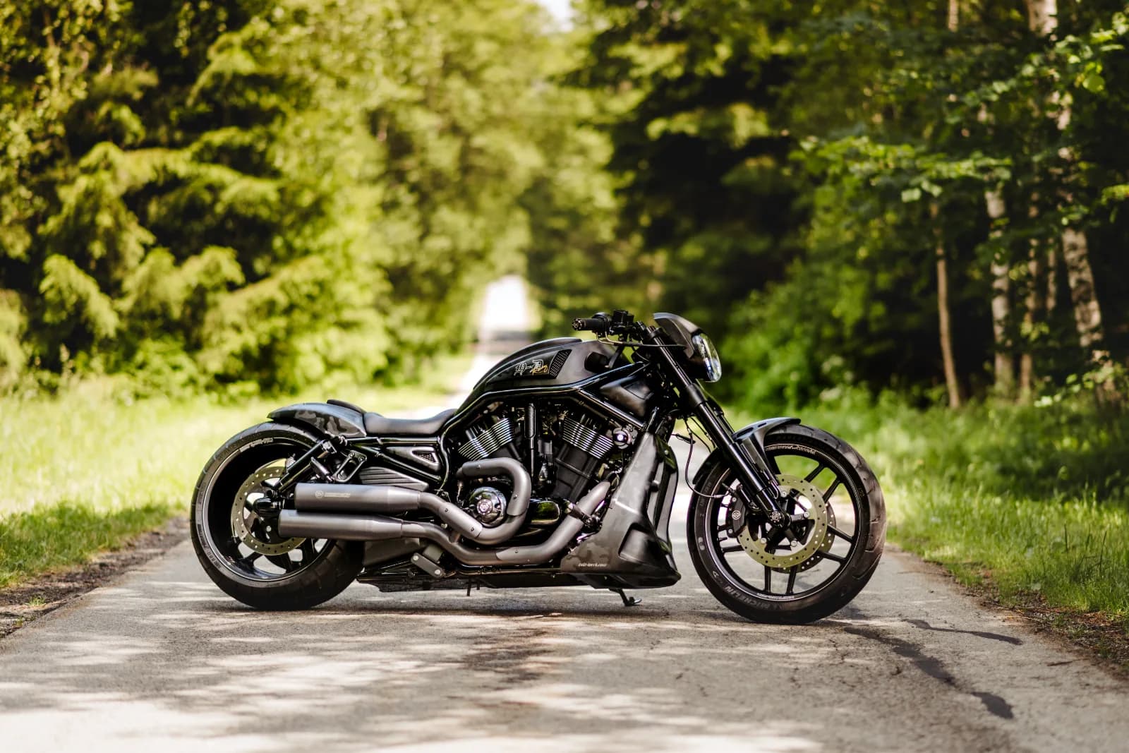 Harley-Davidson VRSCDX Night Rod Special Special