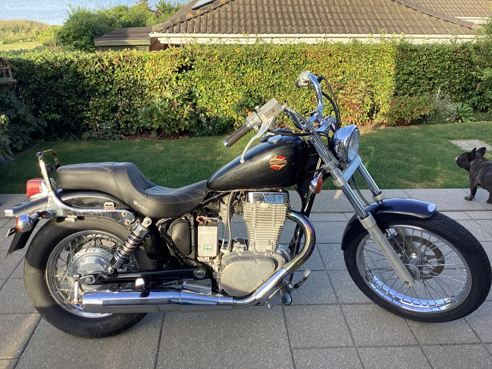 Suzuki LS 650