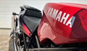 Brugt Yamaha TRX 850 2001