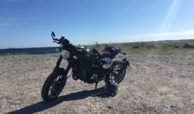 Brugt Ducati Scambler N/A