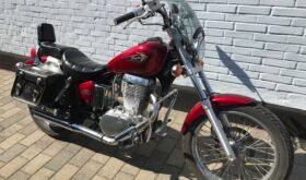 Brugt Suzuki LS 650 1996