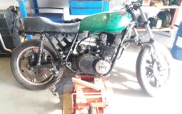 72528774_424904771776981_125655057860395008_n