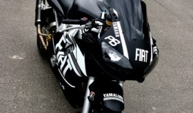 Brugt Yamaha YZF R6 2002