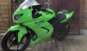 Brugt Kawasaki Ninja 250 R 2008