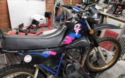 132536130_10159111573478734_1685195996390315581_o