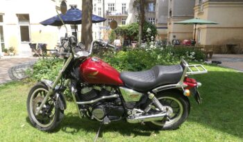 Honda VT 500 C 1988 2