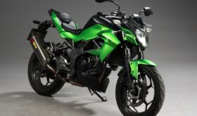 Kawasaki Z 250 SL 2016