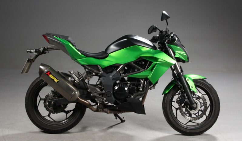 Kawasaki Z 250 SL 2016 full