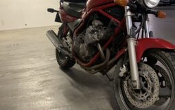 E7494A2D-A29B-412A-8154-8CCAEA1A09AB