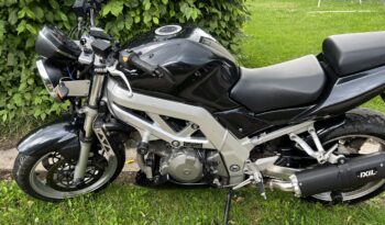 Suzuki SV 1000 2005 full