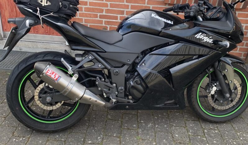 Kawasaki Ninja 250 R 2008 1