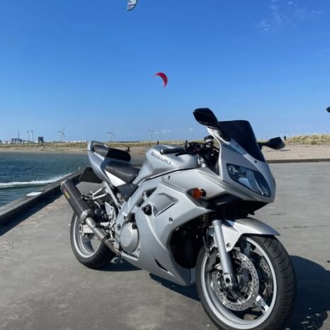 Suzuki SV 1000 S 2005 1