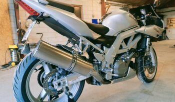 Suzuki SV 1000 S 2005 full
