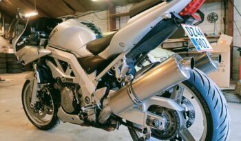 Suzuki SV 1000 S 2005 full