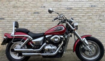Suzuki VX 800 2001 2