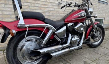 Suzuki VX 800 2001 full